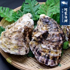 【阿家海鮮】日本室津生食級帶殼牡蠣 10顆/袋